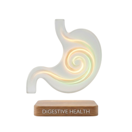 Digestion Légère